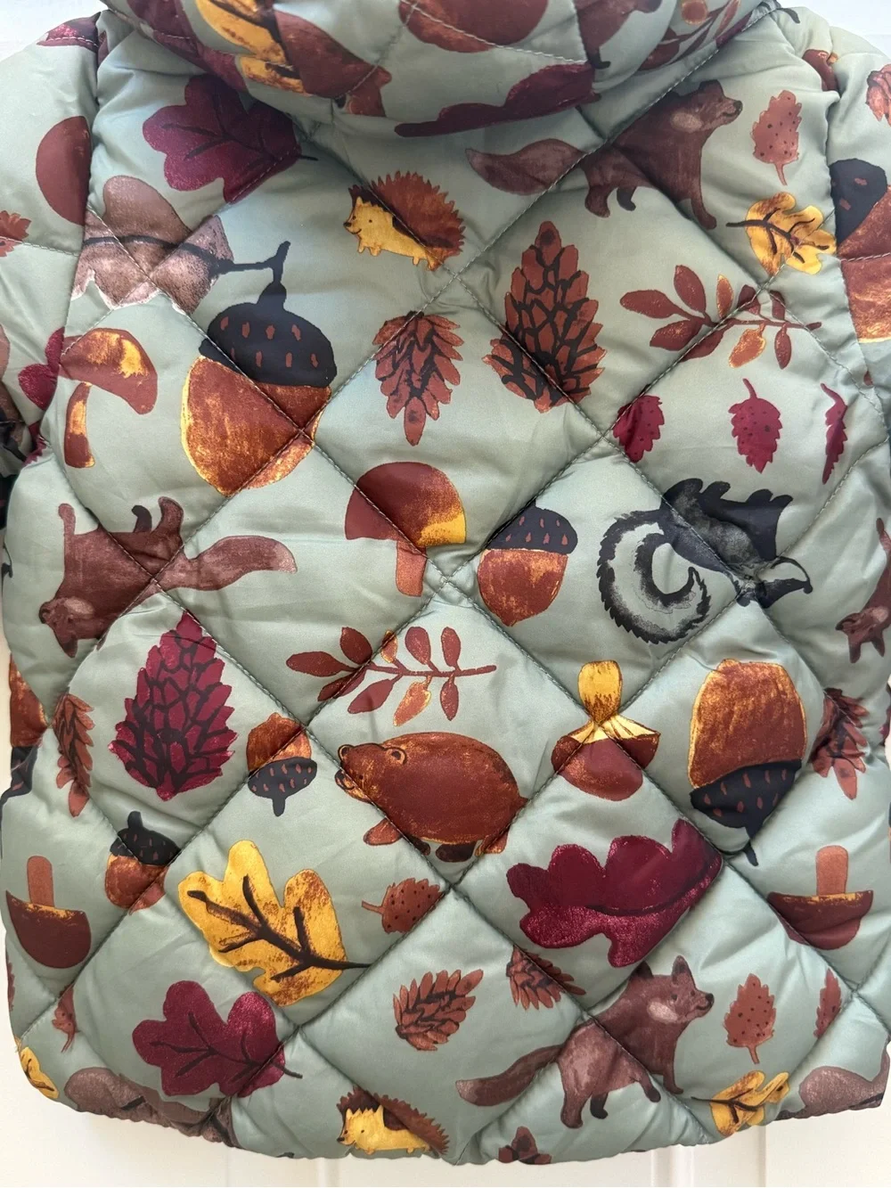 H&M Sage Green Kids Hooded Puffer Jacket with Autumn Motif